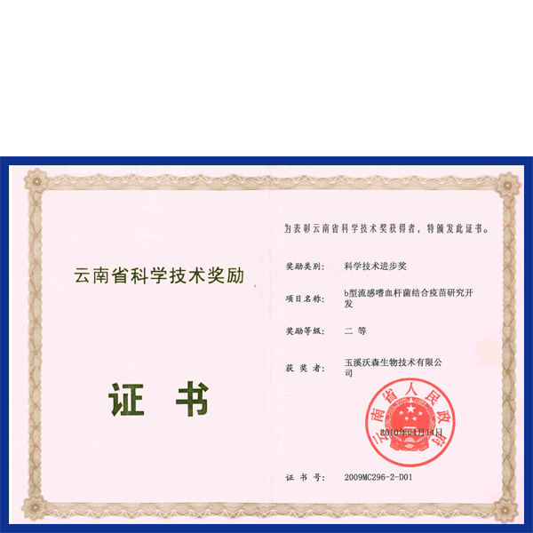 ��Ʒ����